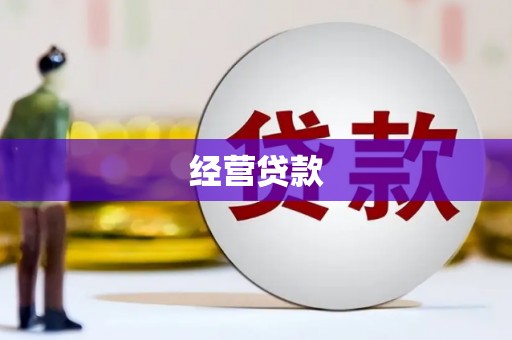 高县经营贷款