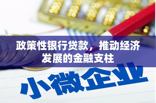 高县政策性银行贷款，推动经济发展的金融支柱