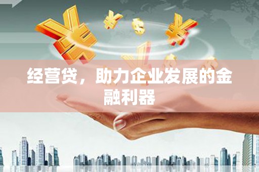 高县经营贷，助力企业发展的金融利器