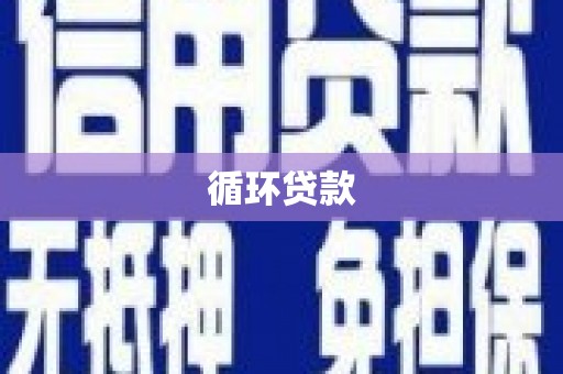 高县循环贷款