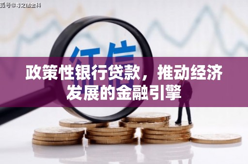 高县政策性银行贷款，推动经济发展的金融引擎