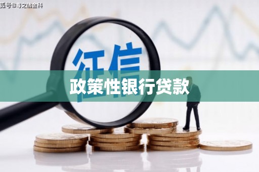 高县政策性银行贷款