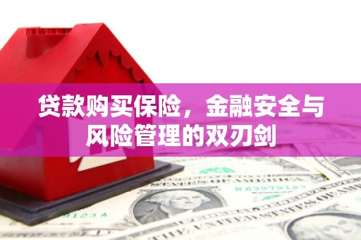 高县贷款购买保险，金融安全与风险管理的双刃剑