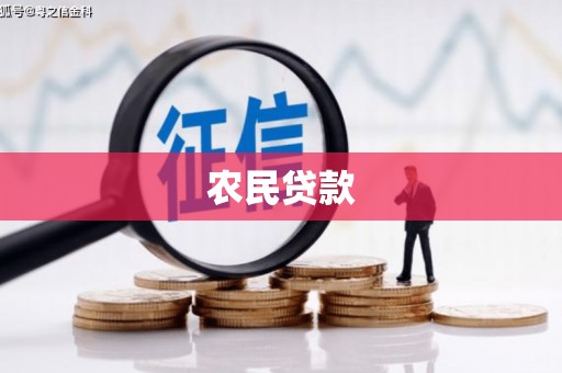 高县农民贷款