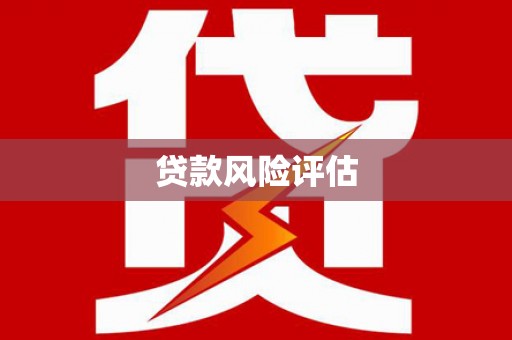 高县贷款风险评估