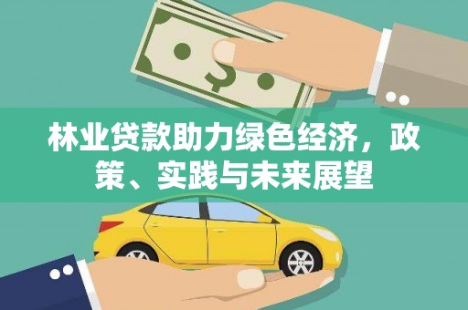 高县林业贷款助力绿色经济，政策、实践与未来展望