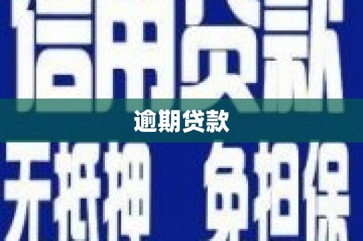 高县逾期贷款