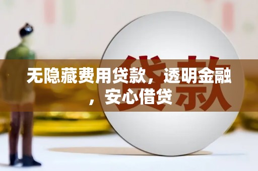 高县无隐藏费用贷款，透明金融，安心借贷