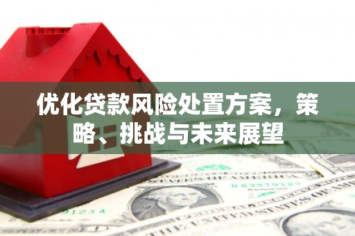 高县优化贷款风险处置方案，策略、挑战与未来展望