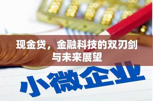 高县现金贷，金融科技的双刃剑与未来展望