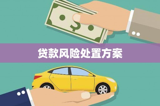 高县贷款风险处置方案