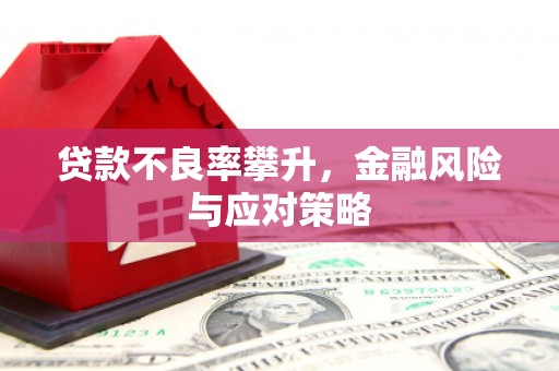 高县贷款不良率攀升，金融风险与应对策略