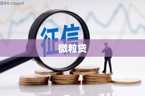 高县微粒贷