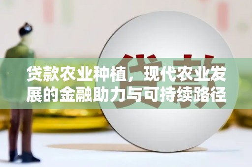 高县贷款农业种植，现代农业发展的金融助力与可持续路径