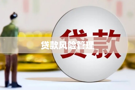 高县贷款风险管理