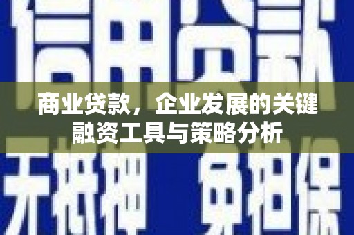 高县商业贷款，企业发展的关键融资工具与策略分析