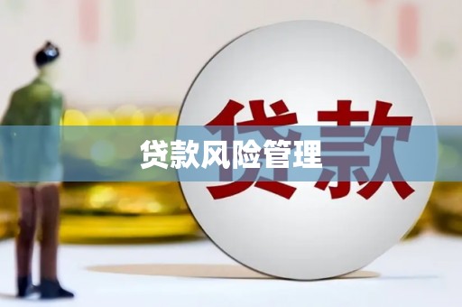 高县贷款风险管理