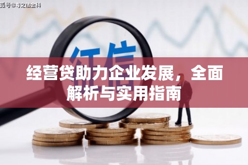 高县经营贷助力企业发展，全面解析与实用指南