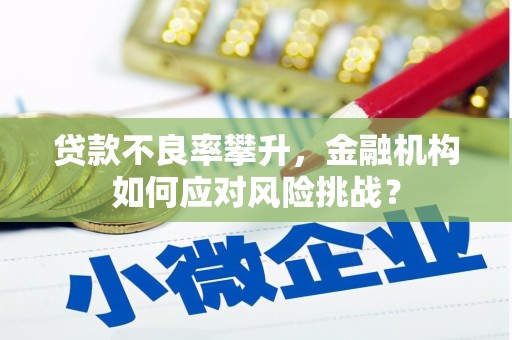 高县贷款不良率攀升，金融机构如何应对风险挑战？