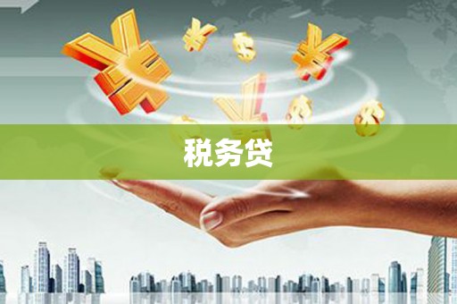 高县税务贷