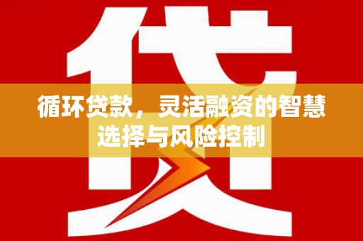 高县循环贷款，灵活融资的智慧选择与风险控制