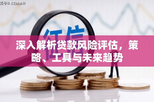高县深入解析贷款风险评估，策略、工具与未来趋势