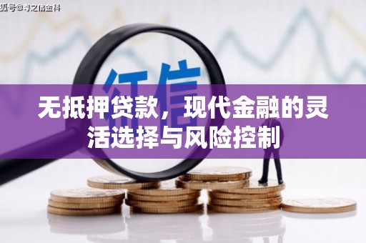 高县无抵押贷款，现代金融的灵活选择与风险控制