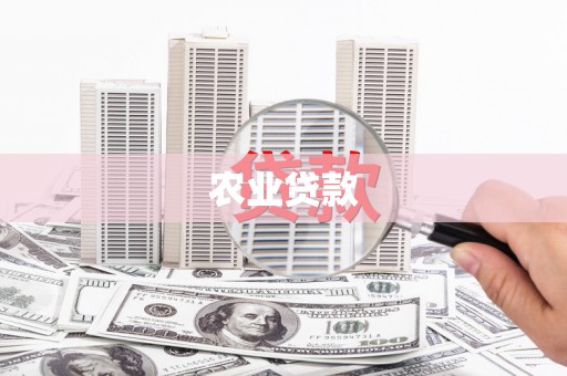 高县农业贷款