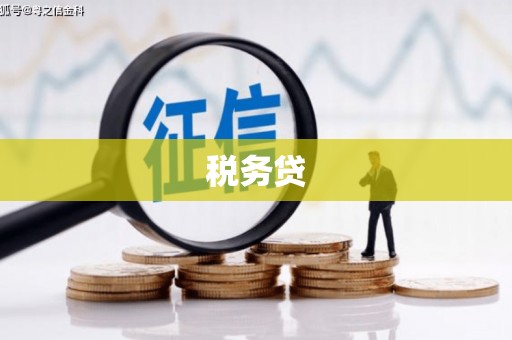 高县税务贷
