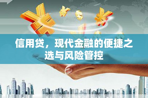 高县信用贷，现代金融的便捷之选与风险管控