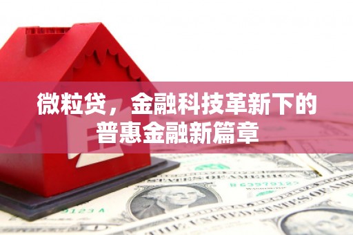 高县微粒贷，金融科技革新下的普惠金融新篇章