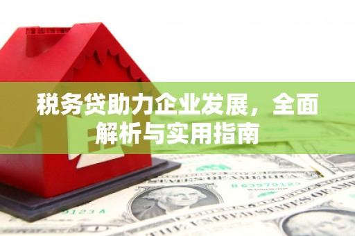 高县税务贷助力企业发展，全面解析与实用指南
