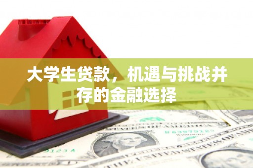 高县大学生贷款，机遇与挑战并存的金融选择