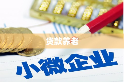 高县贷款养老