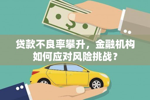 高县贷款不良率攀升，金融机构如何应对风险挑战？