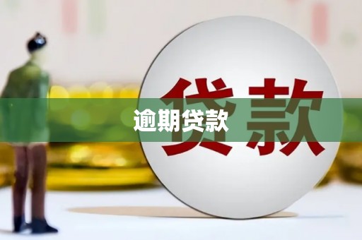 高县逾期贷款