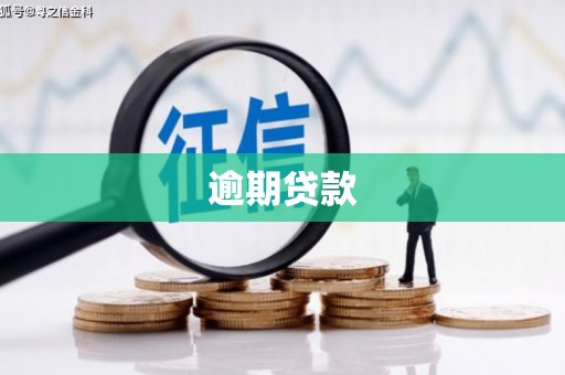高县逾期贷款